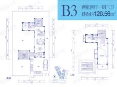 鲁能海蓝福源东二区西区B3户型户型图