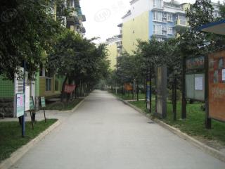 绿洲华苑