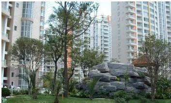 社区实景