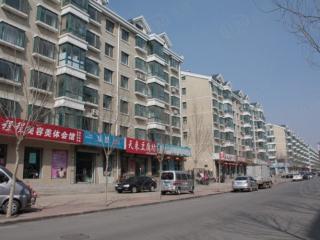 龙净都市晨光