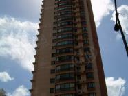 学林雅院 开元坊