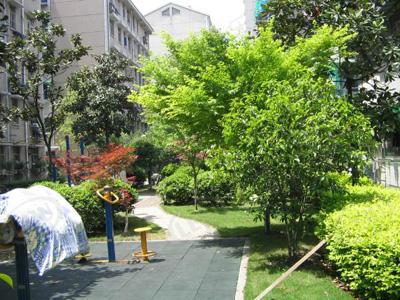 社区实景