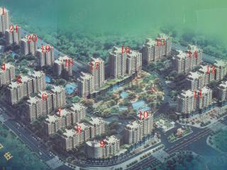 锦上华庭