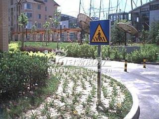 东花市小区