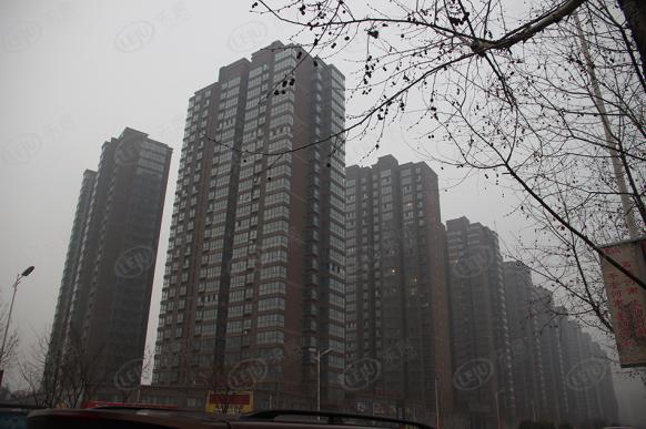 社区实景
