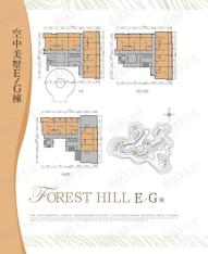 观澜湖御林山空中美墅E/G栋户型图