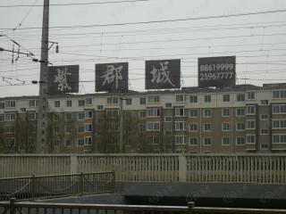 紫郡城一期
