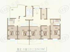 平盛苑房型: 复式;  面积段: 165 －251 平方米;户型图