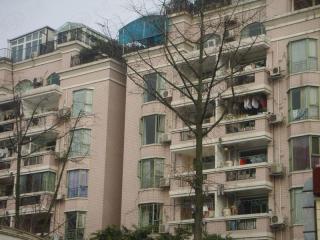 向阳花园