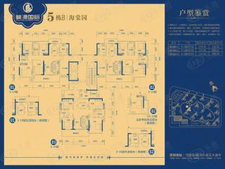 霸王花东城国际5栋B,4+1房两厅两卫户型图