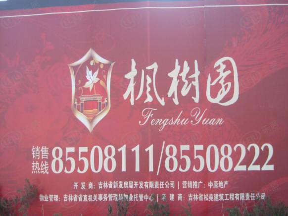 效果图