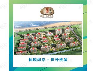 威海纹石宝滩