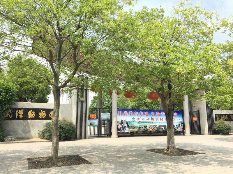 汉阳武汉国际文化商业中心·恒韵府，位置在汉阳区汉阳大道与江城大道交汇处（四号线五里墩站D出口）毗邻4号线沿线，价格大概在20500左右。