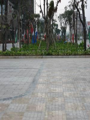 社区实景