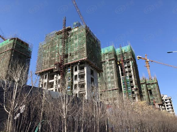 社区实景