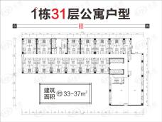 新城和樾1栋31层户型图