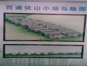 效果图