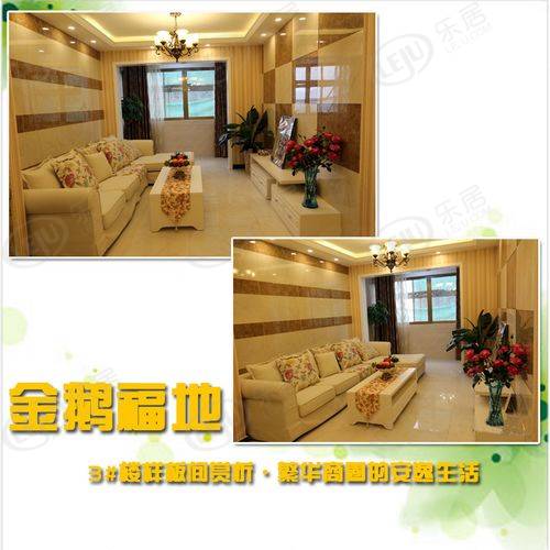 金鹅福地 图解看房