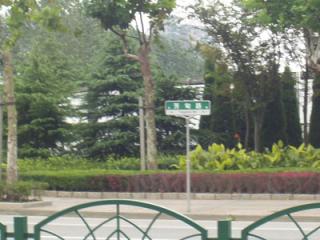 城市艺术季