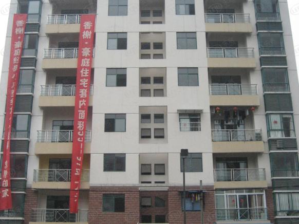 社区实景