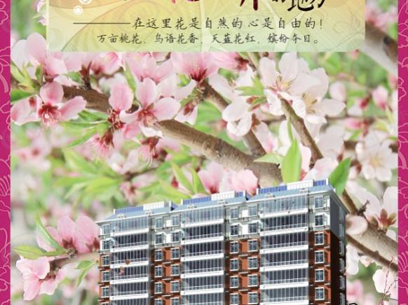 效果图