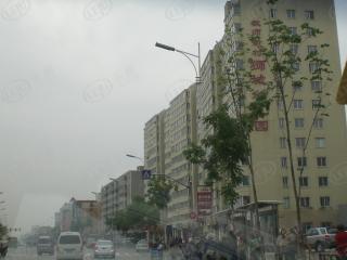 狮城花园