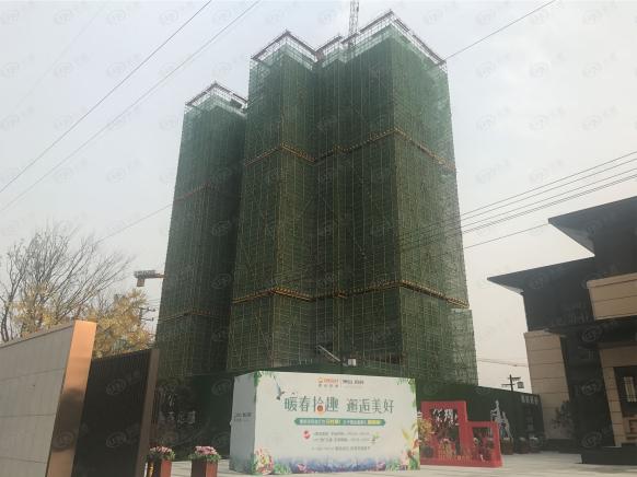 社区实景