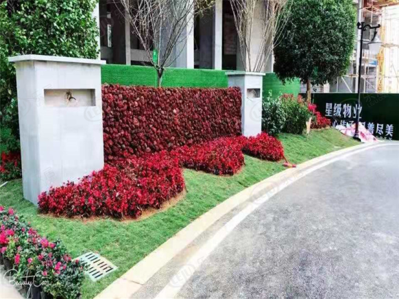 社区实景