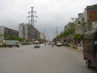 新绿美地