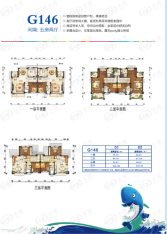 碧桂园城市花园碧桂园城市花园G146，5房2厅，建筑面积：01户型234.99㎡、02户型232.26㎡户型图