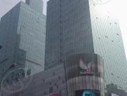 新上海国际大厦