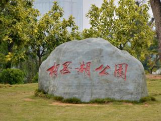 金科观天下