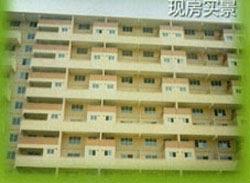 绿波园