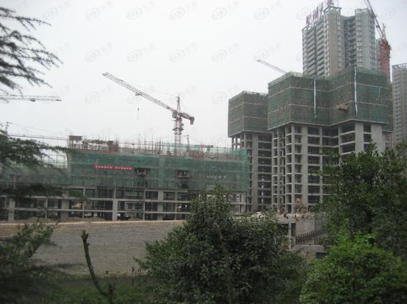 社区实景