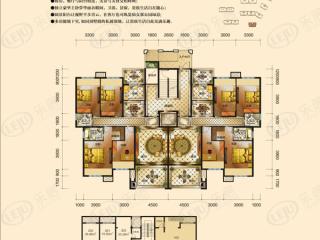 新化碧桂园阅江府户型图