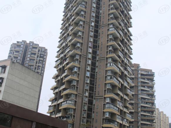 社区实景