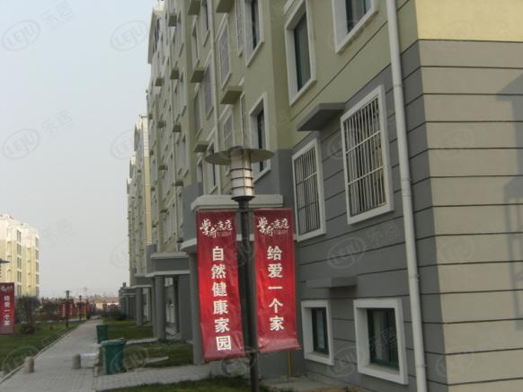 效果图
