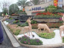 如东碧桂园社区实景