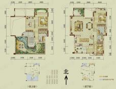 泽科港城国际B5-1户型，套内约176.20平米，可使用面积229.26平米户型图