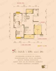 青城青城 六号楼A户型户型图