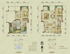 泽科港城国际B5户型，套内约178.25平米，可用面积229.05平米户型图