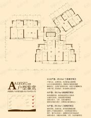 保利东江首府A13/15/17西梯户型图