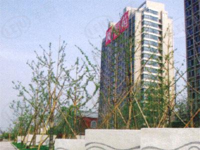 社区实景