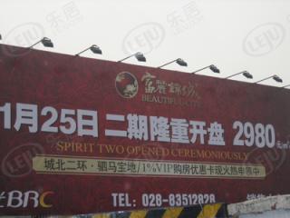 富丽锦城二期