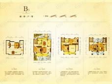 藏珑谷山庄B3户型户型图