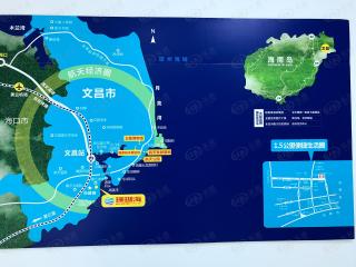 珊瑚海