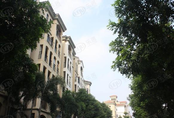 社区实景