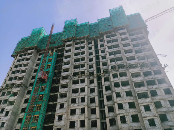 社区实景