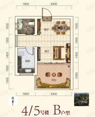 建驰云岭翠湖1室1厅1卫户型图