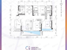 河源中骏世界城4室2厅2卫户型图